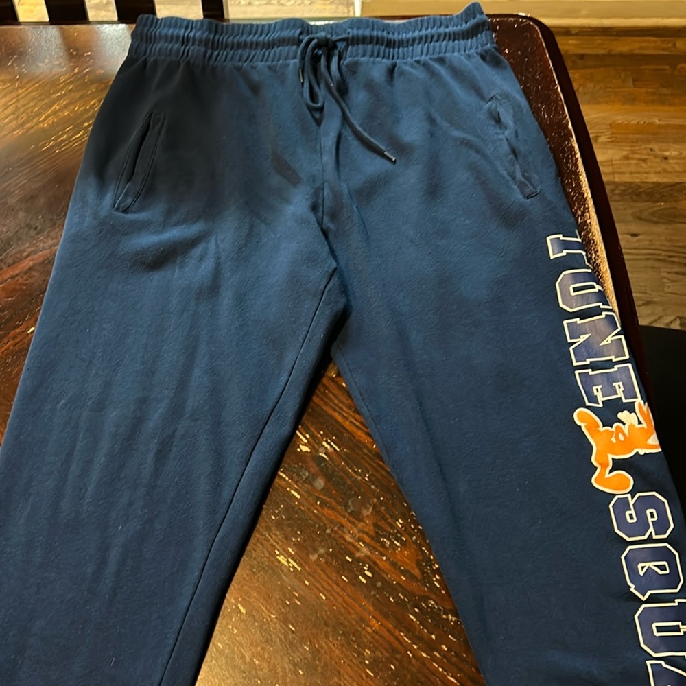 Tune squad joggers